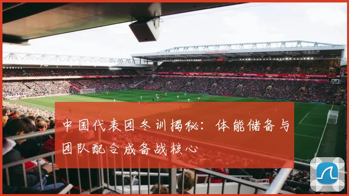 中国代表团冬训揭秘：体能储备与团队配合成备战核心